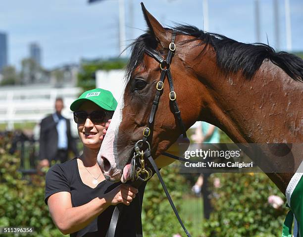 Don't Doubt Mamma after winning Race 5, The TAB Vanity during Black Caviar Lightning Stakes Day at Flemington Racecourse on February 20, 2016 in...