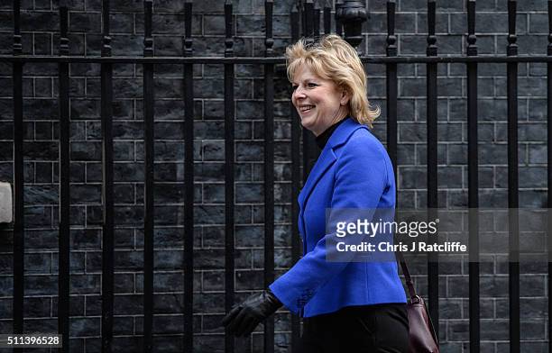 Minister for Small Business, Industry and Enterprise Anna Soubry arrives at Downing Street on February 20, 2016 in London, England. Mr Cameron has...