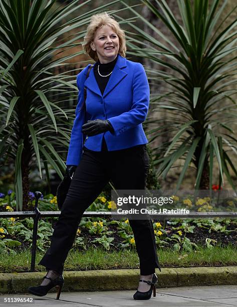 Minister for Small Business, Industry and Enterprise Anna Soubry arrives at Downing Street on February 20, 2016 in London, England. Mr Cameron has...