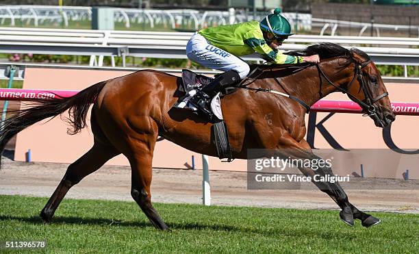 Michael Dee riding Dan Zephyr winning Race 8, Ascot Racecourse Trophy during Black Caviar Lightning Stakes Day at Flemington Racecourse on February...