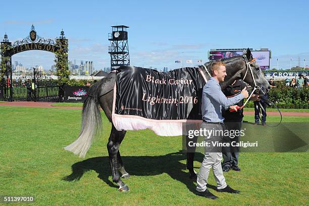 Chautauqua after winning Race 7, the Black Caviar Lightning during Black Caviar Lightning Stakes Day at Flemington Racecourse on February 20, 2016 in...