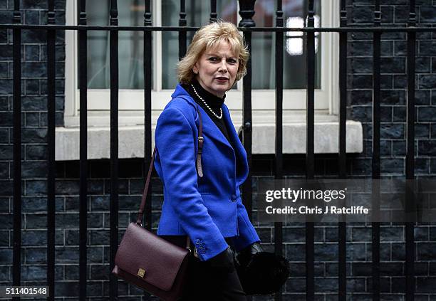 Minister for Small Business, Industry and Enterprise Anna Soubry leaves after the cabinet meeting at Downing Street on February 20, 2016 in London,...