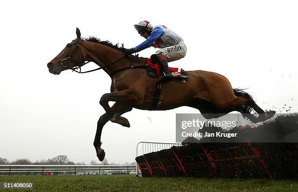 Reve De Sivola ridden by Richard Johnson jumps the last to win the Betfred ÒHome Of Goals GaloreÓ Hurdle Race at Haydock racecourse on February 20,...