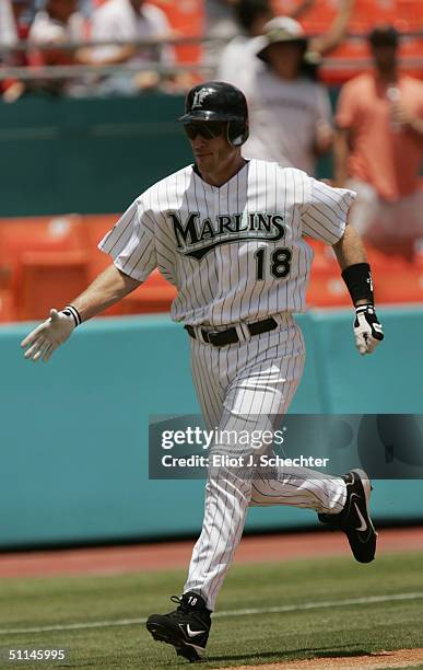 Left fielder Jeff Conine of the Florida Marlins celebrates his homerun in the second inning against the Philadelphia Phillies on July 29, 2004 at Pro...