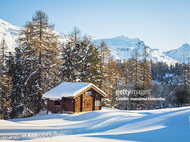 cabin retreat - brief - hut stock pictures, royalty-free photos & images