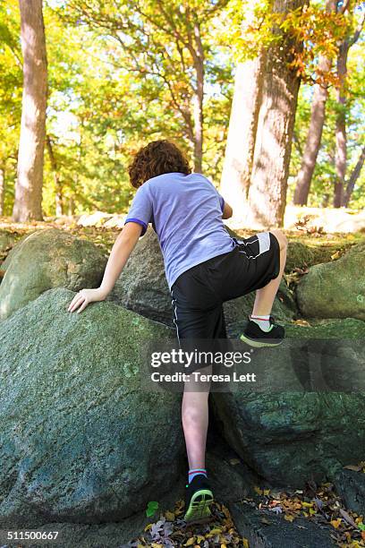 Stepping Over Rocks 1,104 Stepping On Rocks Stock Photos, High-Res Pictures, and Images ...