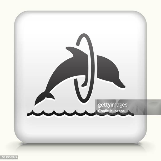 square button with jumping dolphin - dolphin jumping stock illustrations