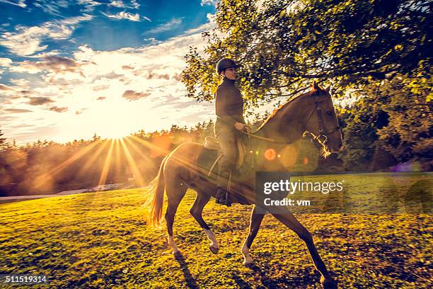 jeune femme chevauchant un cheval dans la nature - cavalier photos et images de collection