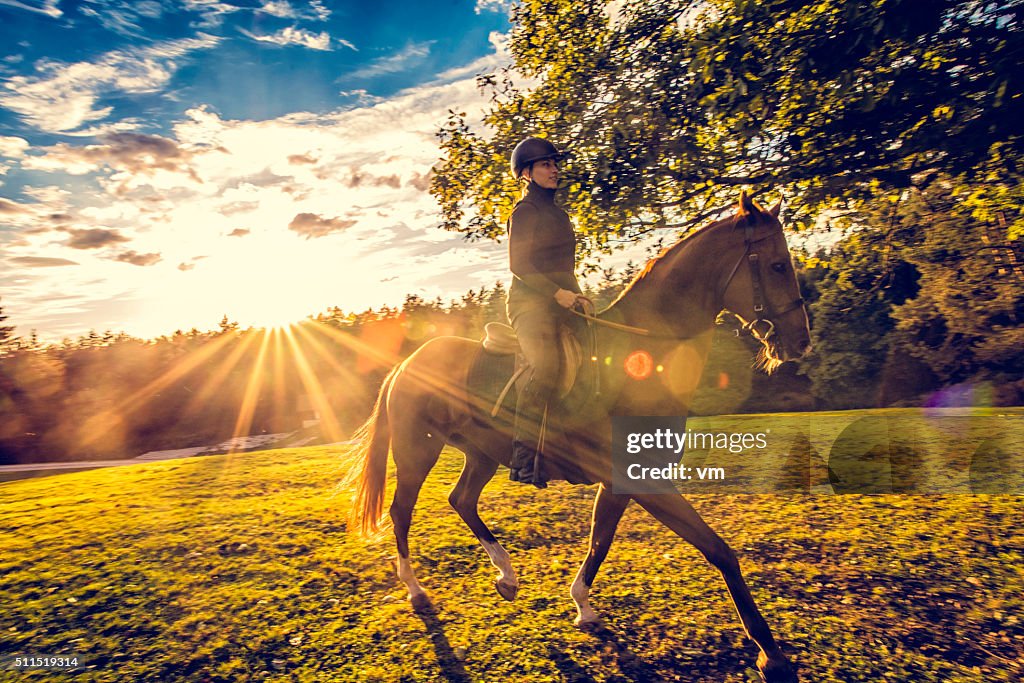 Young woman riding a horse in nature