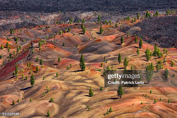 cinder cone - lassen volcanic national park - cinder cone volcano stock pictures, royalty-free photos & images