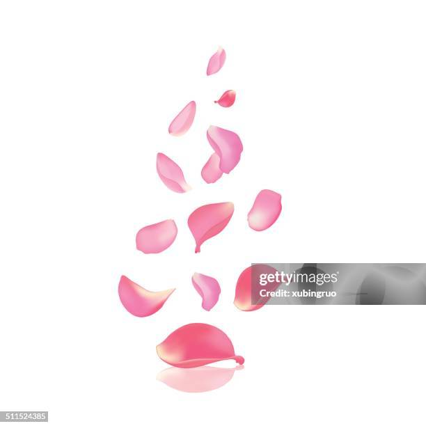 stockillustraties, clipart, cartoons en iconen met falling rose peta - bloemblaadje