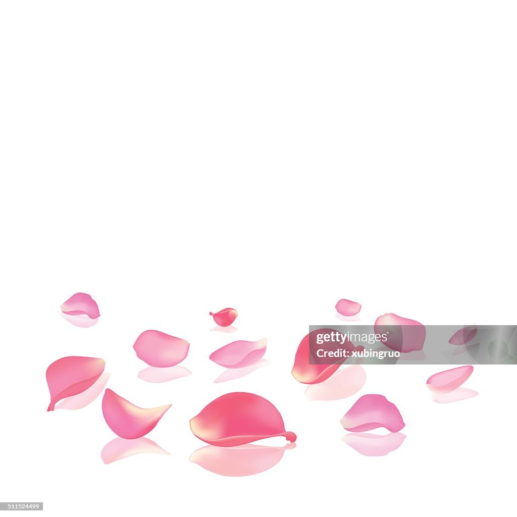 Falling rose peta