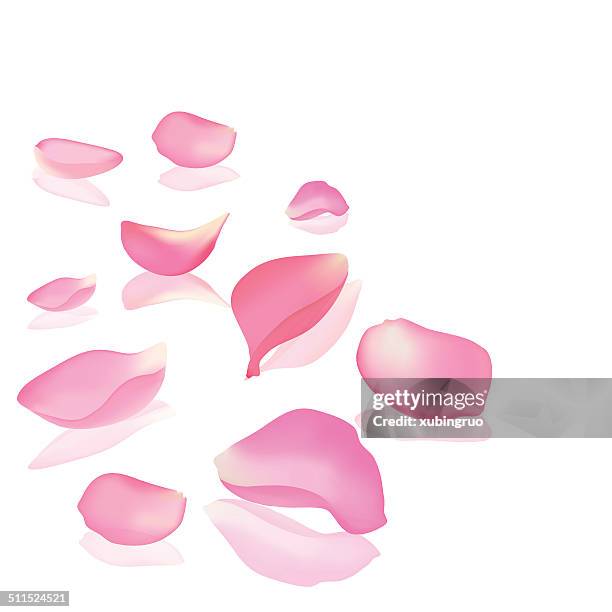 falling rose peta - petal stock illustrations
