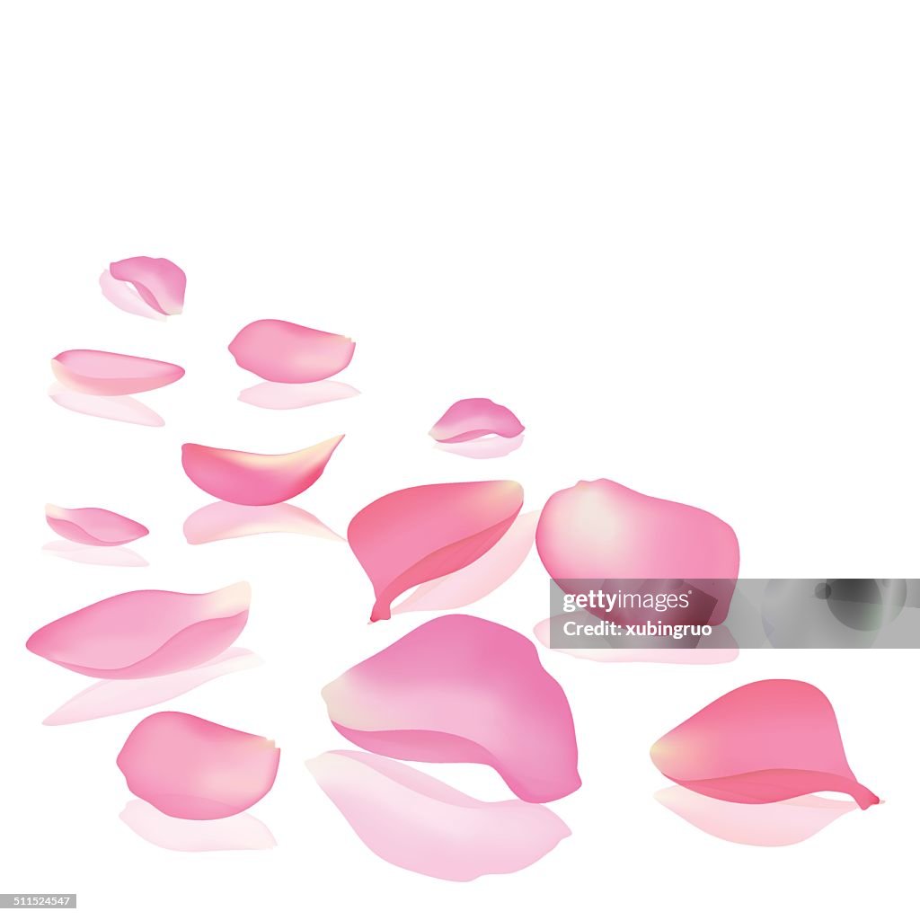 Falling rose peta