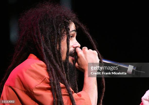 Damian Marley, son of Bob Marley, performs onstage at the "Roots, Rock, Reggae Tour 2004" at the Filene Center August 8, 2004 in Vienna, Virginia