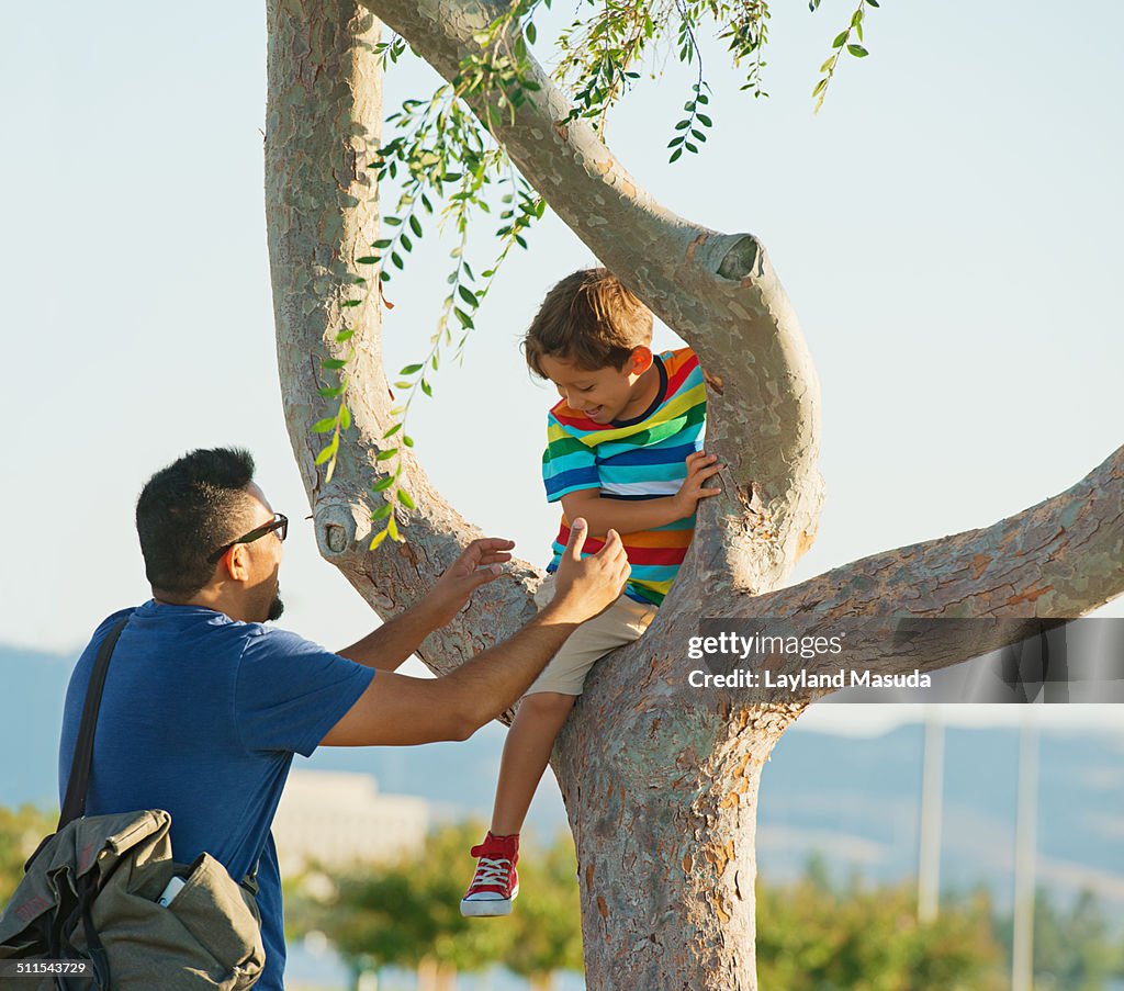 Dad helps son from tree