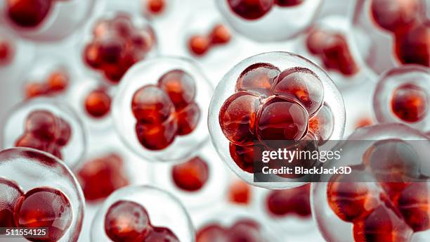 cells - cell division stock pictures, royalty-free photos & images