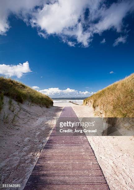path through the dunes to the beach - norderney imagens e fotografias de stock