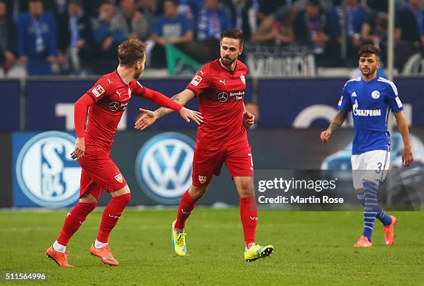Martin Harnik of Stuttgart celebrates as he scores their first and equalising goal during the Bundesliga match between FC Schalke 04 and VfB...