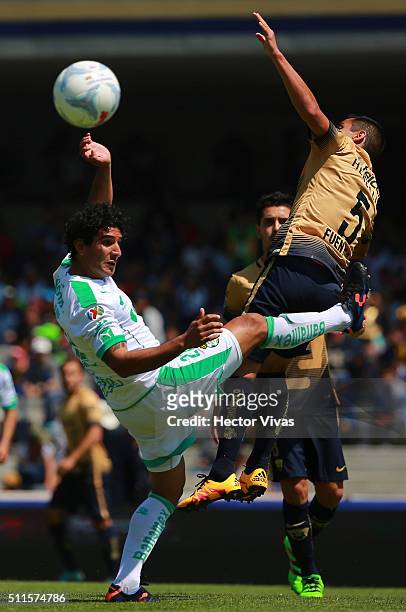 Luis Fuentes of Pumas struggles for the ball with Martin Bravo of Santos Laguna during the 7th round match between Pumas UNAM and Santos Laguna as...