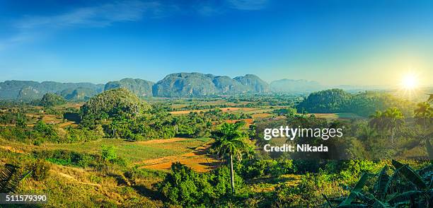 valle de vinales national park, kuba - vinales stock-fotos und bilder