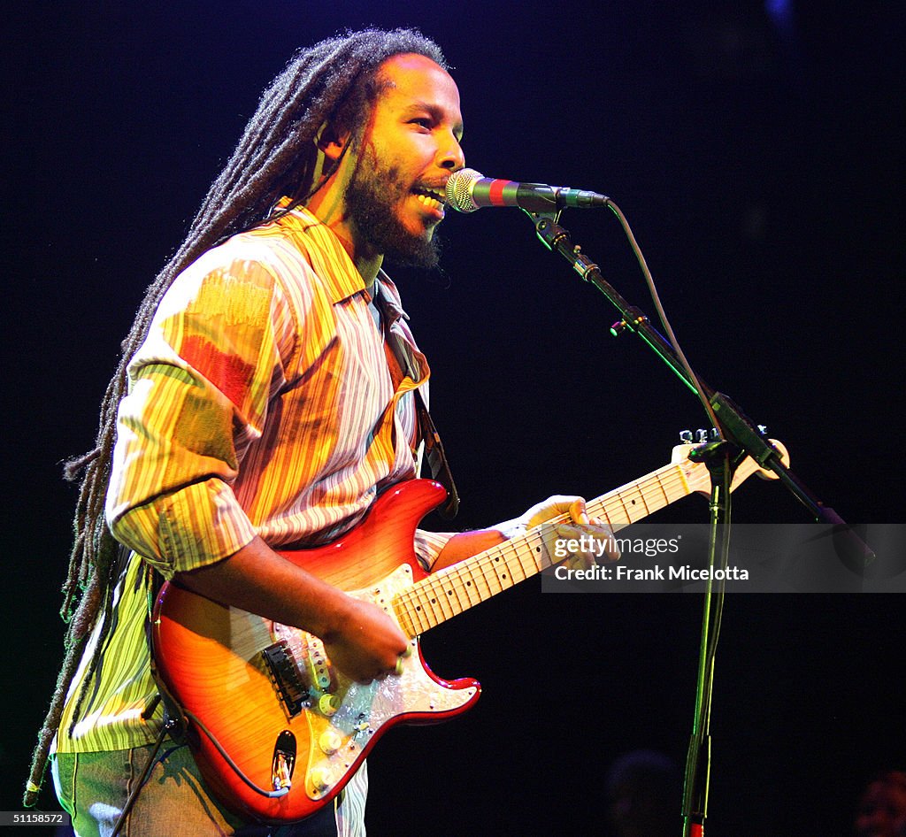 Roots, Rock, Reggae Tour 2004