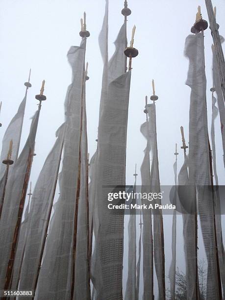 bhutanese prayer flags - disparo bildbanksfoton och bilder