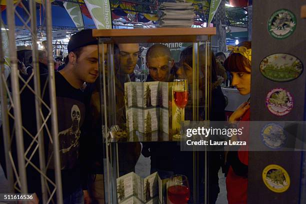 People check a bank seeds catalogue during the Canapa Mundi Cannabis Fair on February 21, 2016 in Rome, Italy. 'Hemp Mundi', the international...