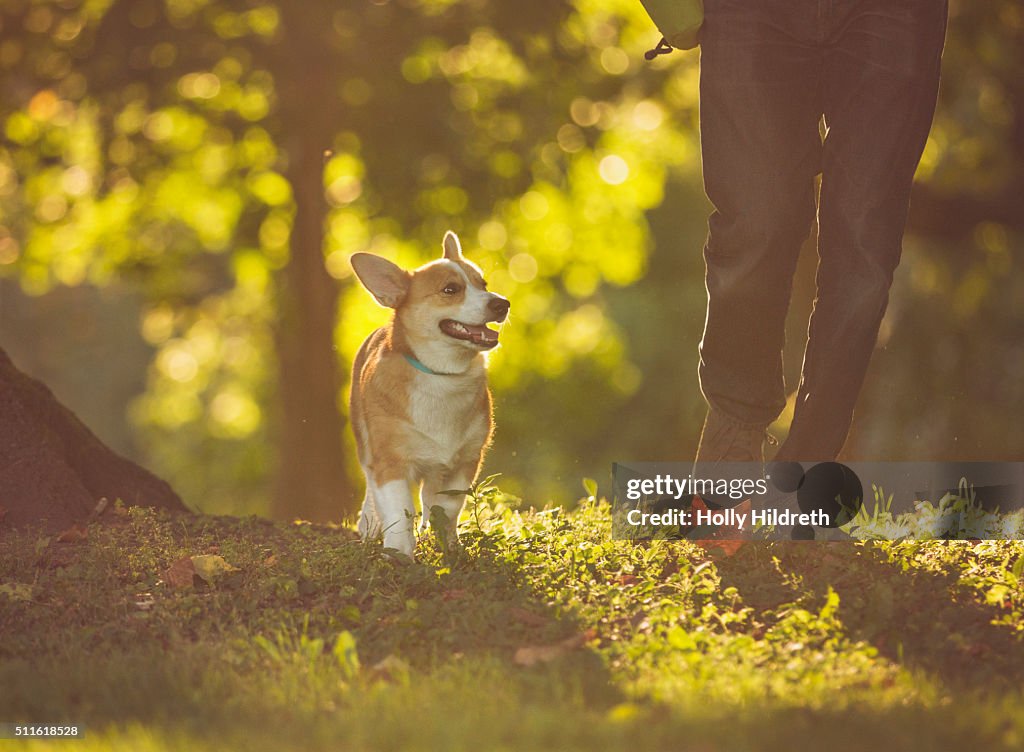 Walking with dog