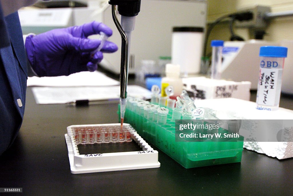 Department Of Agriculture Sponsors Testing Program For Mad Cow Disease