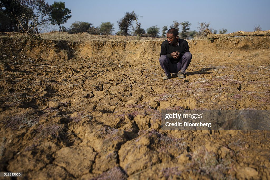 Agony in India Dust Bowl Prompts Modi U-Turn on Policy He Mocked