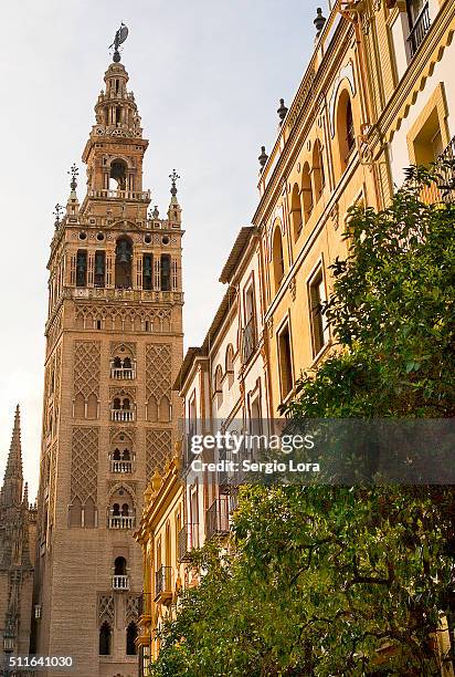 la giralda de sevilla - catedral de sevilla stock pictures, royalty-free photos & images