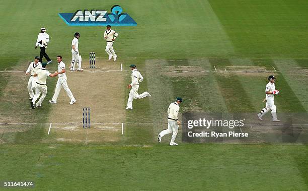 Josh Hazlewood of Australia celebrates after taking the wicket of Brendon McCullum of New Zealand during day three of the Test match between New...