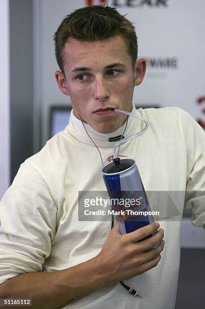 Christian Klien of Austria and Jaguar in the team garage during the practice session for the Hungarian F1 Grand Prix at the Hungaroring Circuit on...