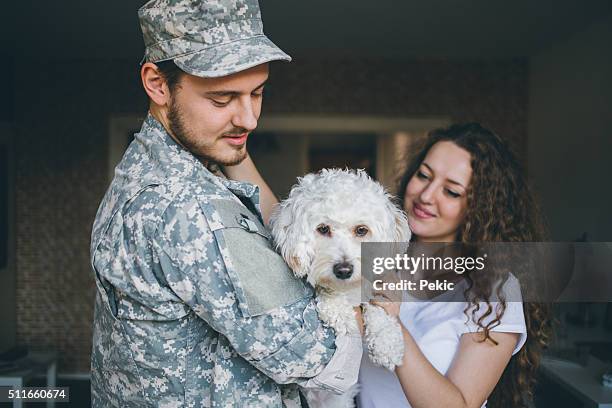 daddy's home! - military dog stock pictures, royalty-free photos & images