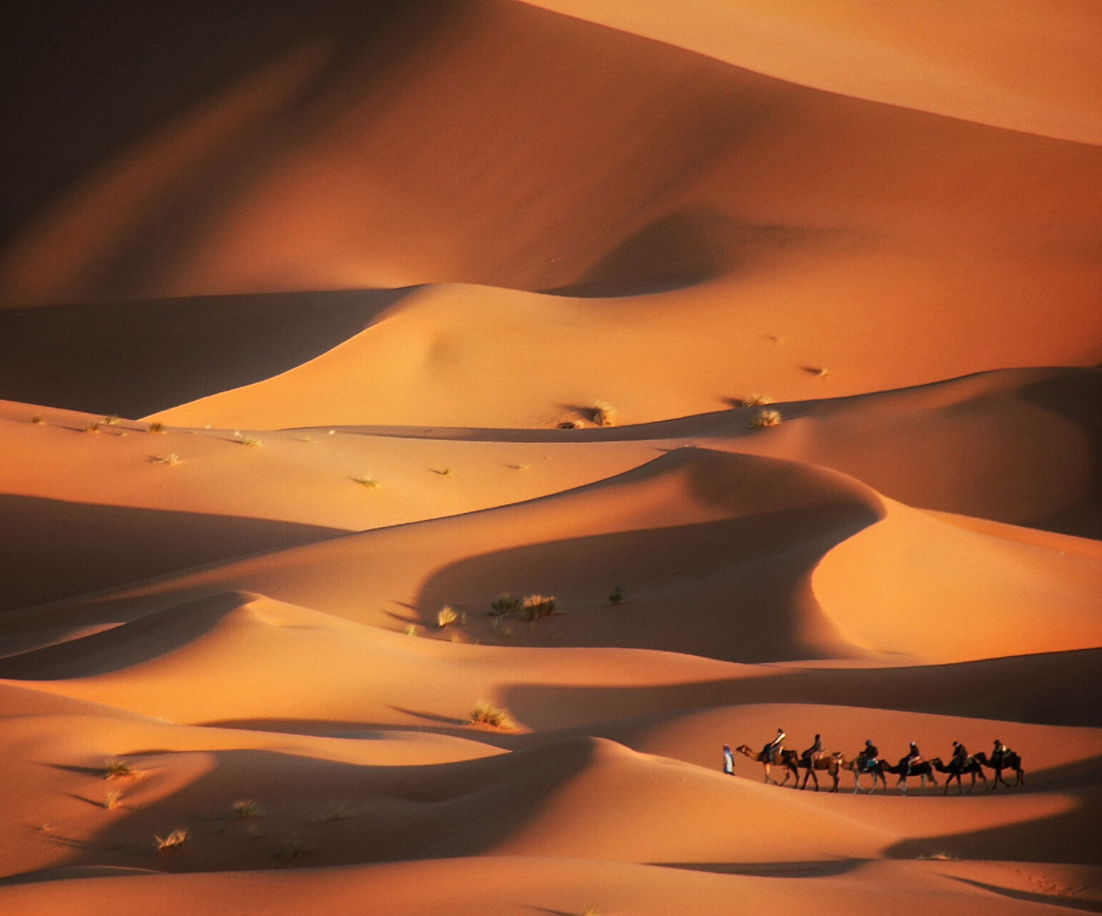 moroccan desert