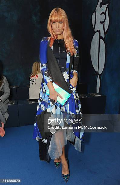 Amber Le Bon attends the Roksanda show during London Fashion Week Autumn/Winter 2016/17 at on February 22, 2016 in London, England.