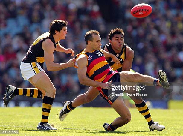 David Rodan 36 Brent Hartigan Photos & High Res Pictures - Getty Images
