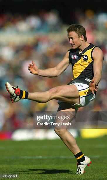 Nathan Brown for Richmond in action in the AFL Round 20 match between the Adelaide Crows and the Richmond Tigers at AAMI Stadium on August 15, 2004...