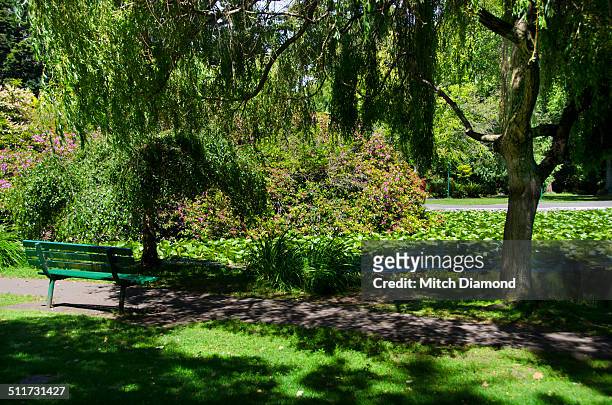beacon hill park, victoria - beacon hill park stock pictures, royalty-free photos & images