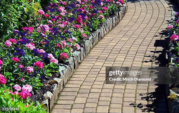 garden pathway - beacon hill park stock pictures, royalty-free photos & images