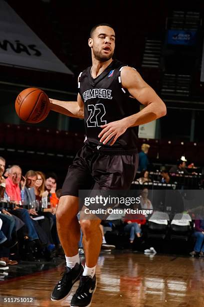 Brien of the Idaho Stampede dribbles the ball against the Rio Grande Valley Vipers at CenturyLink Arena on February 20, 2016 in Boise, Idaho. NOTE TO...