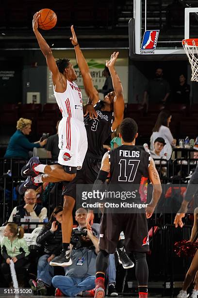 Jaron Johnson of the Rio Grande Valley Vipers dunks the ball against the Idaho Stampede at CenturyLink Arena on February 20, 2016 in Boise, Idaho....