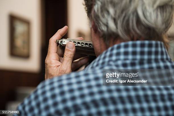 man playing a harmonica in a chorinho music concert, brazil - harmonica stock pictures, royalty-free photos & images