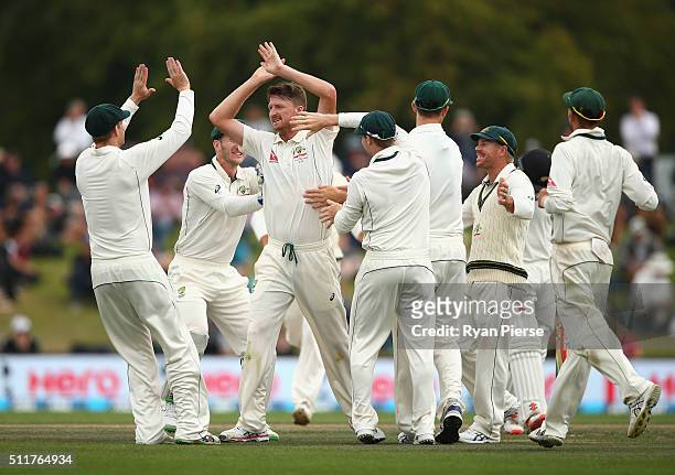 Jackson Bird of Australia celebrates after taking the wicket of Kane Williamson of New Zealand during day four of the Test match between New Zealand...