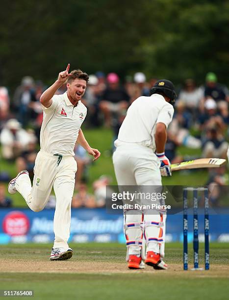Jackson Bird of Australia celebrates after taking the wicket of Tim Southee of New Zealand during day four of the Test match between New Zealand and...