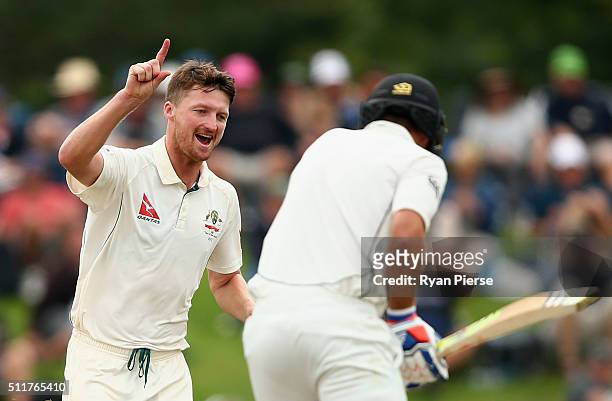 Jackson Bird of Australia celebrates after taking the wicket of Tim Southee of New Zealand during day four of the Test match between New Zealand and...