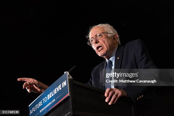 Democratic presidential candidate, Sen. Bernie Sanders speaks at a rally on February 22, 2016 at the University of Massachusetts in Amherst,...