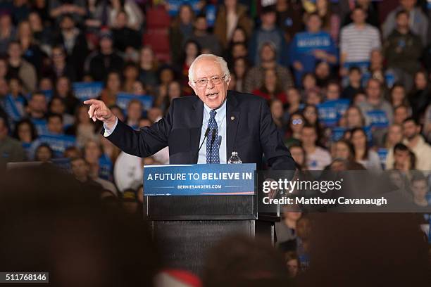 Democratic presidential candidate, Sen. Bernie Sanders speaks at a rally on February 22, 2016 at the University of Massachusetts in Amherst,...