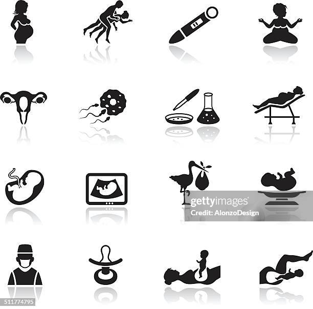pregnancy icon set - embryo egg stock illustrations